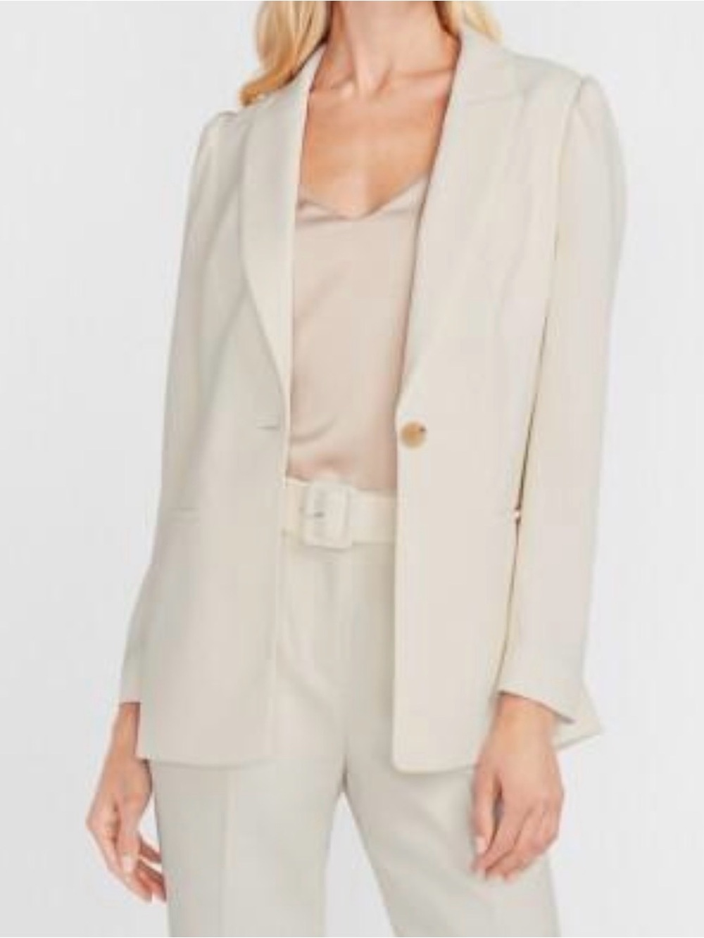 Express Peak Lapel One-Button Boyfriend Blazer